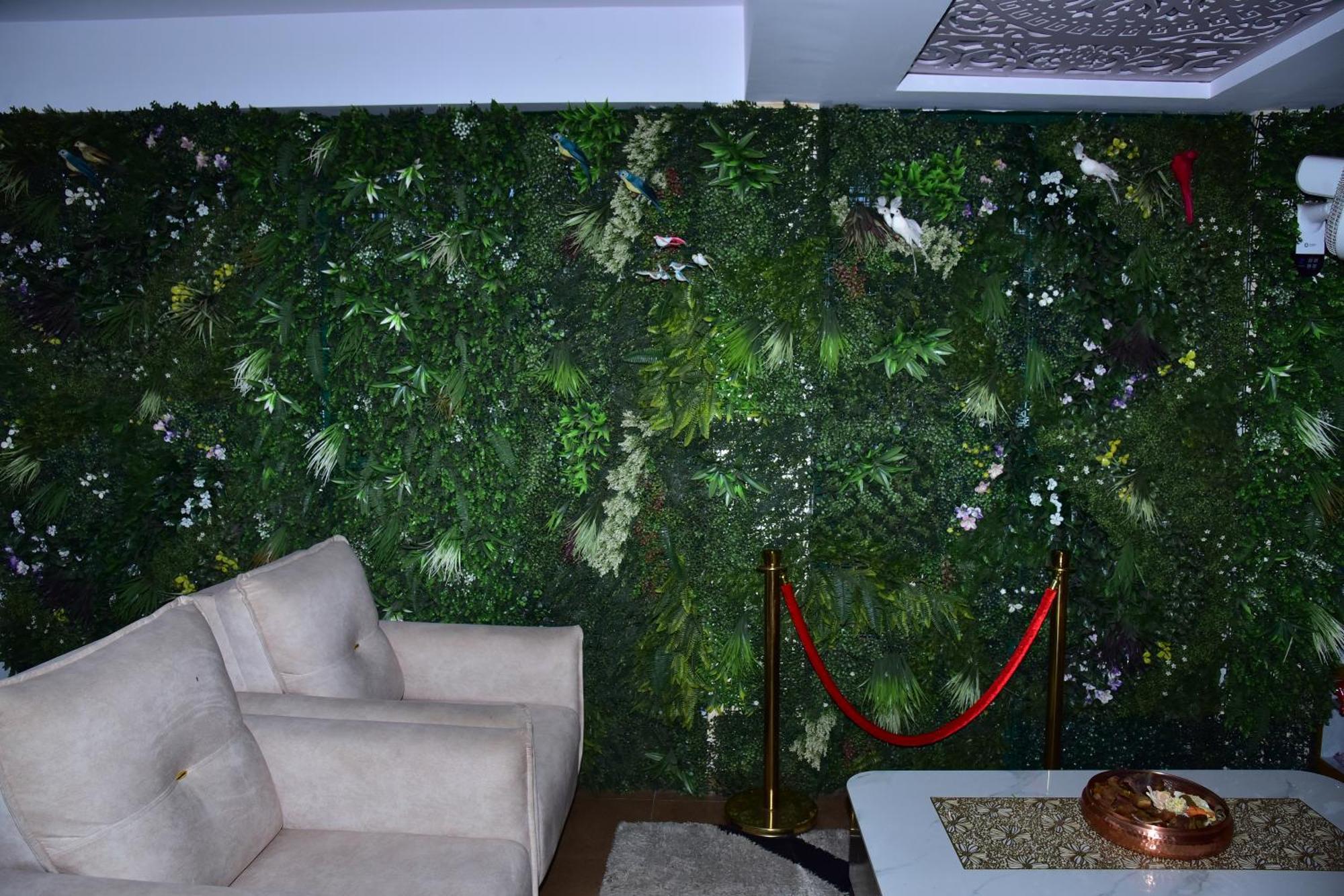 Meadows Inn Мисор Екстериор снимка